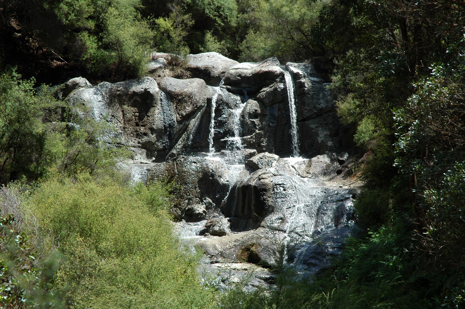 379   04 02   Rotorua